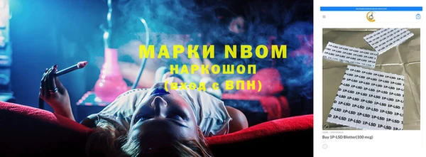 ГАЛЛЮЦИНОГЕННЫЕ ГРИБЫ Бикин