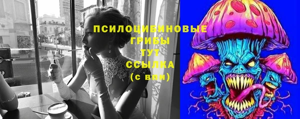 МДПВ Надым