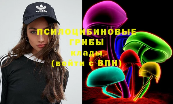 МДПВ Надым